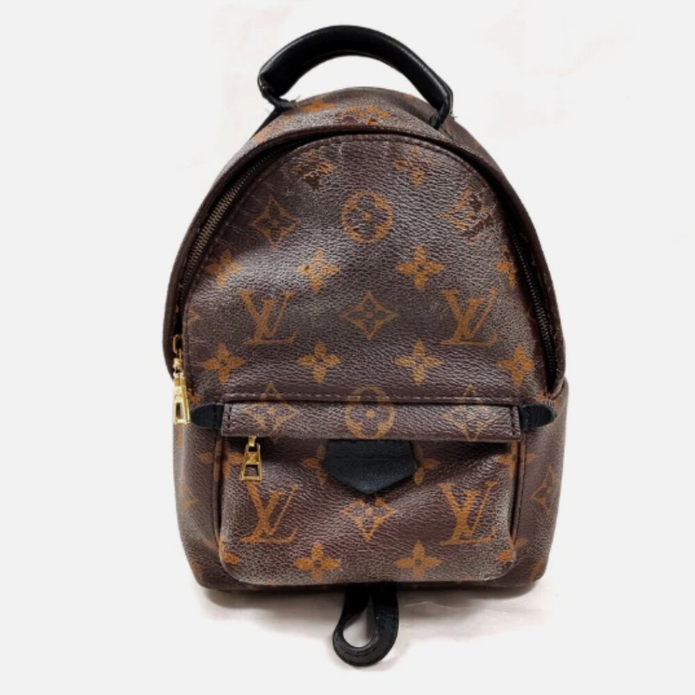 Mini Palm Springs Louis Vuitton Backpack